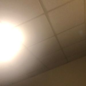 Meet your Posher, Kiya